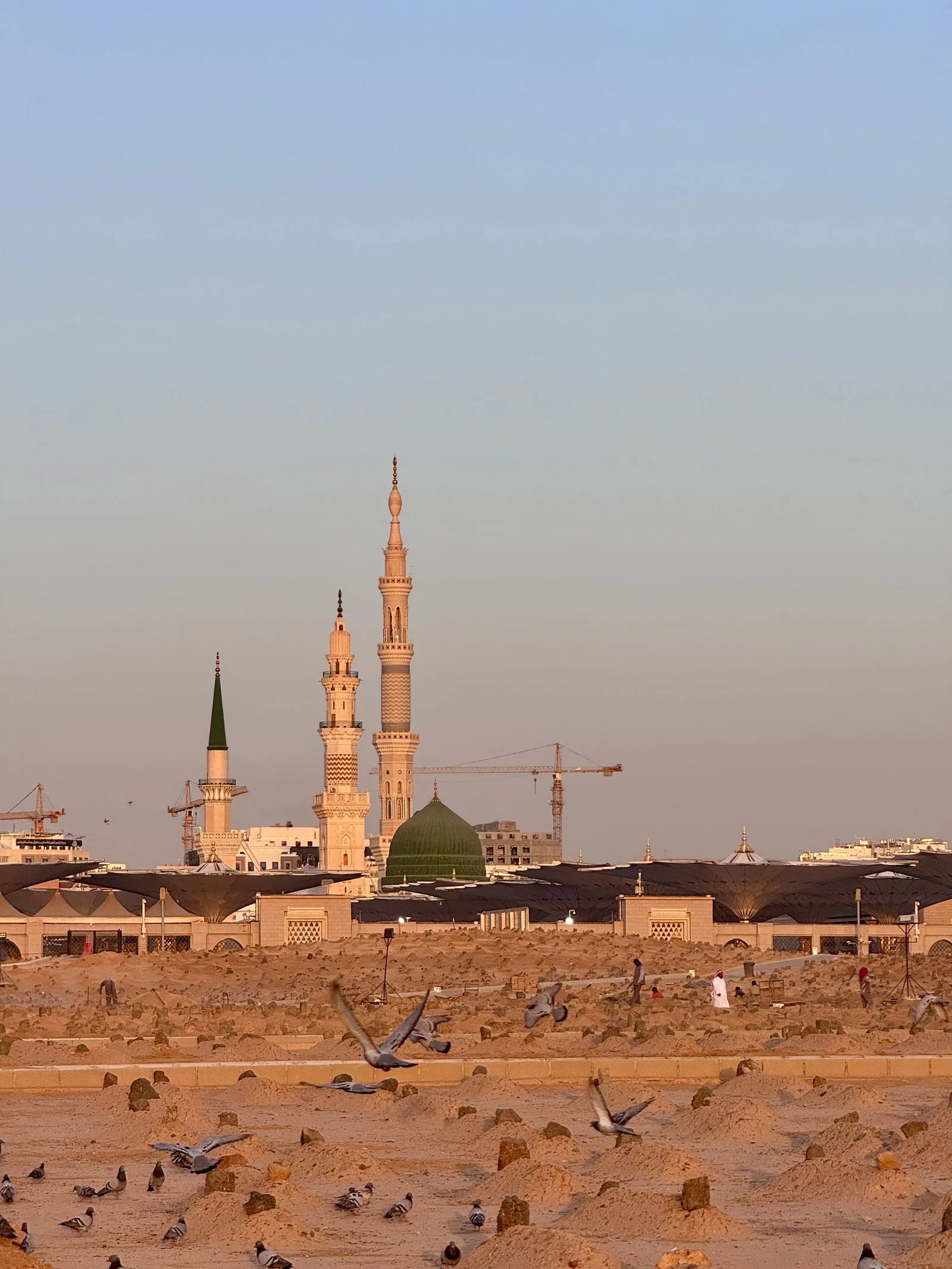 Serenity of the Prophet's Mosque
